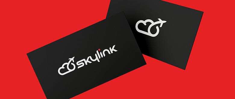 Koncepcja logo Sky Link